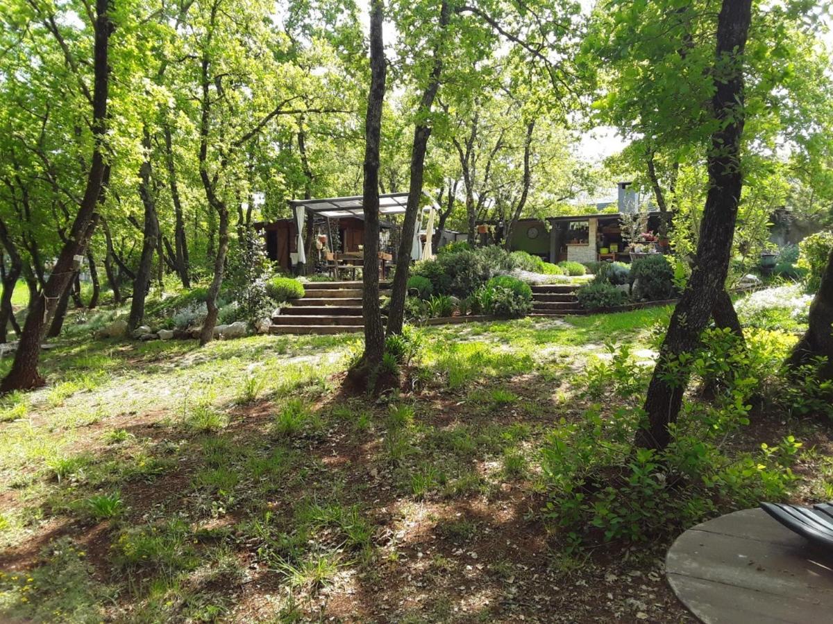 Apartments Bijou With Big Private Garden Near Umag Vilanija Bagian luar foto
