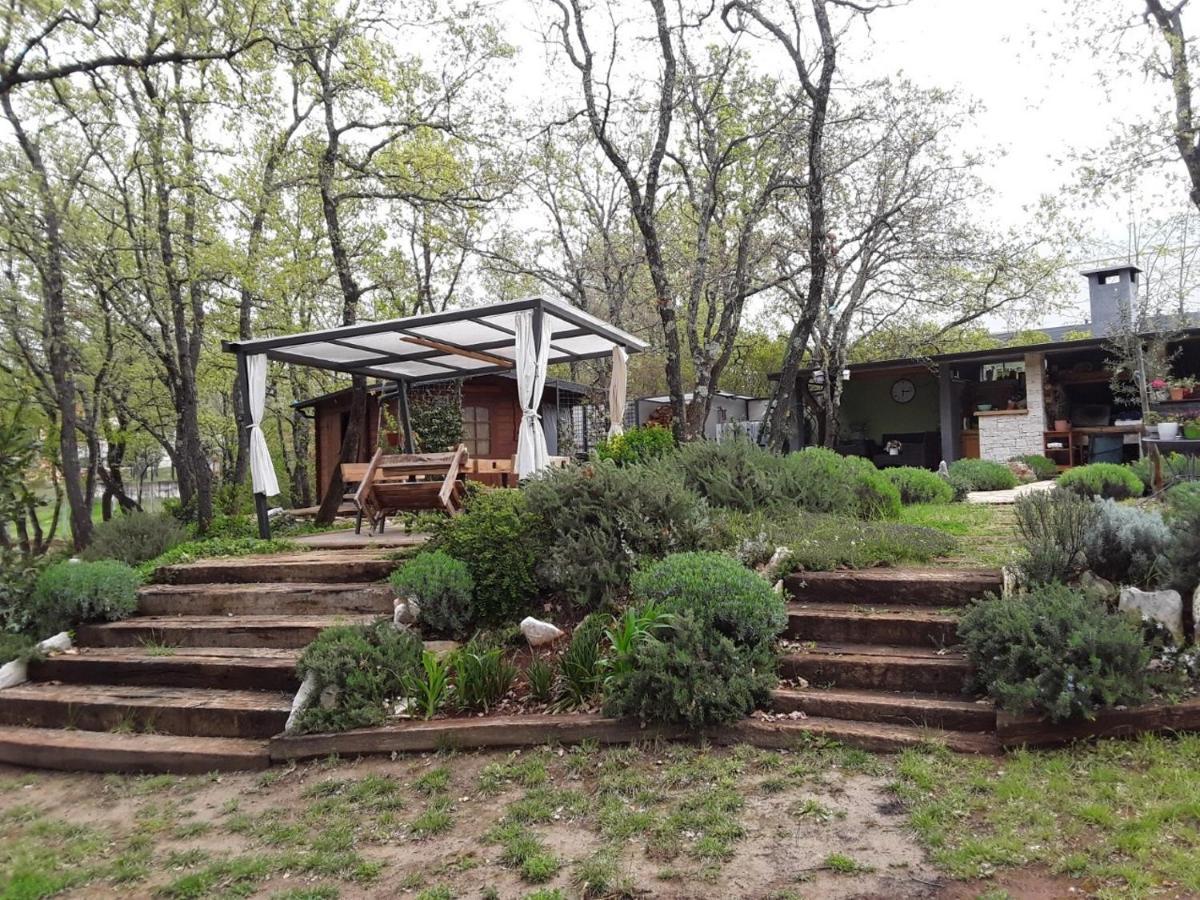 Apartments Bijou With Big Private Garden Near Umag Vilanija Bagian luar foto